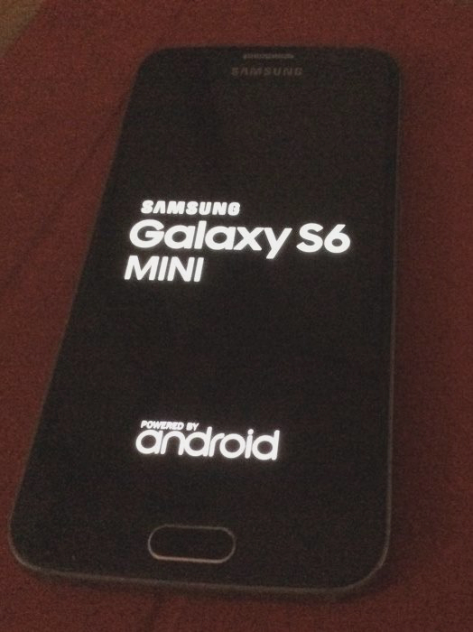 Galaxy S6 mini-2