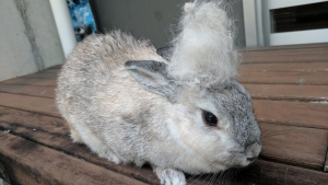 稼げるブログはタイトルと読みやすさ【コラム】