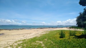 沖縄移住の一番の利点はやっぱりキレイな海【コラム】