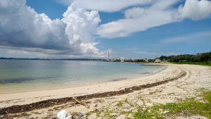 海に近い家に引っ越したら始めたかったこと【コラム】