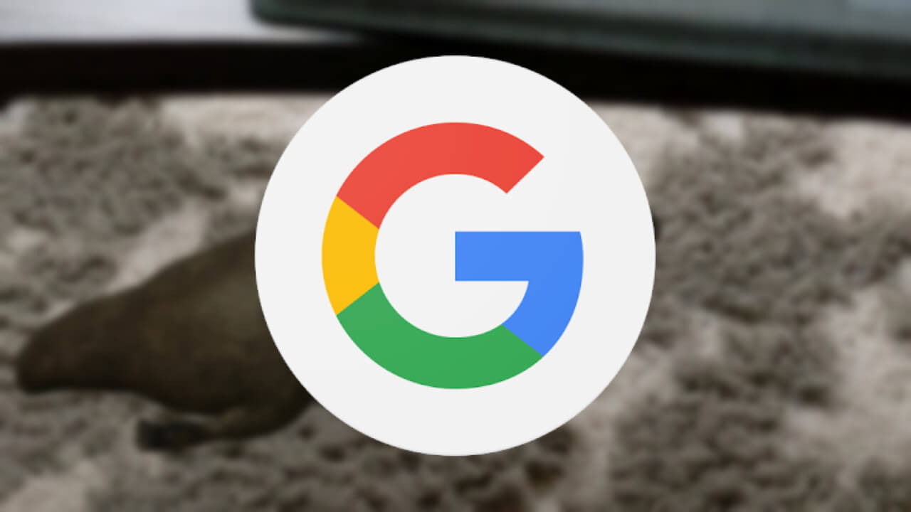 カモノハシ！「Google検索」にオーストラリア動物ARが登場