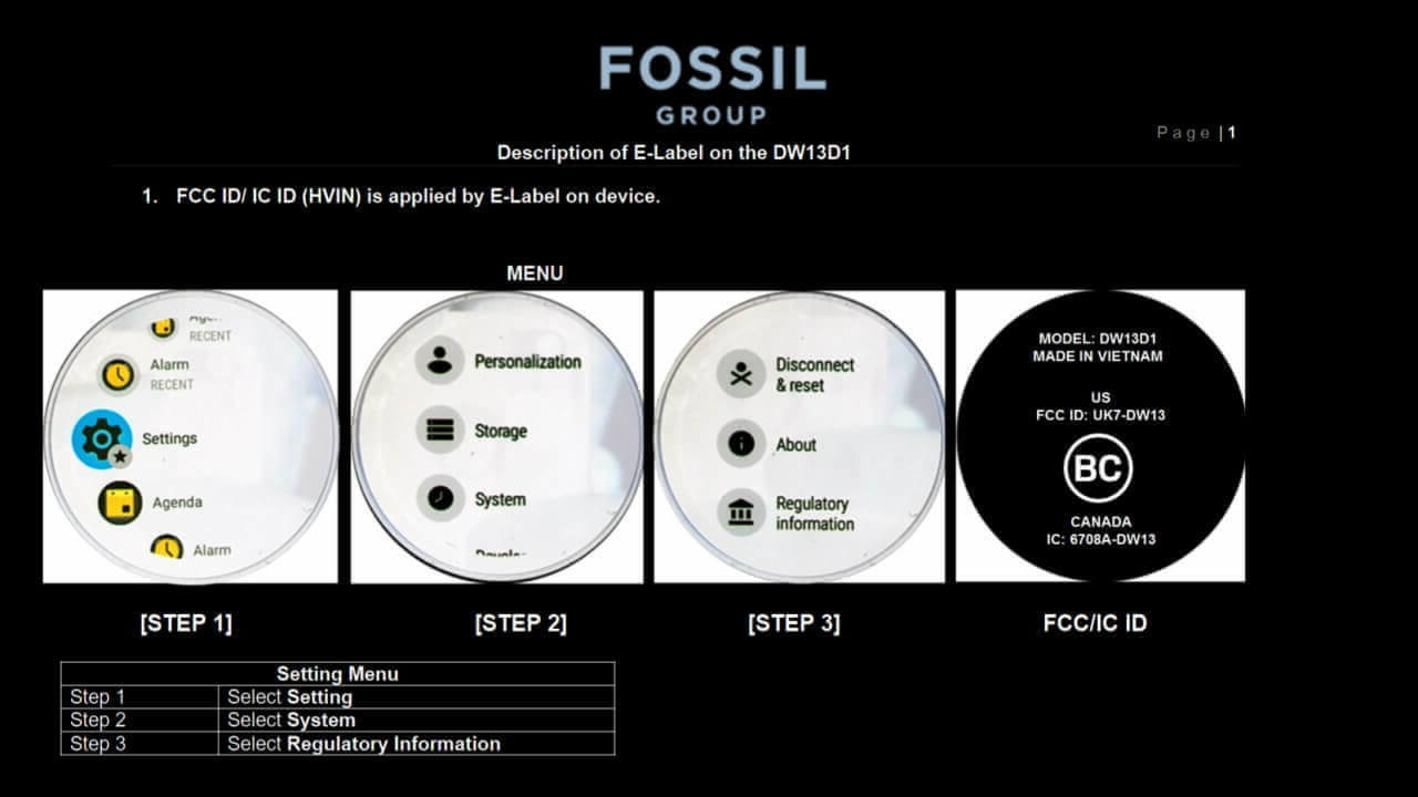 Fossil DW13D1