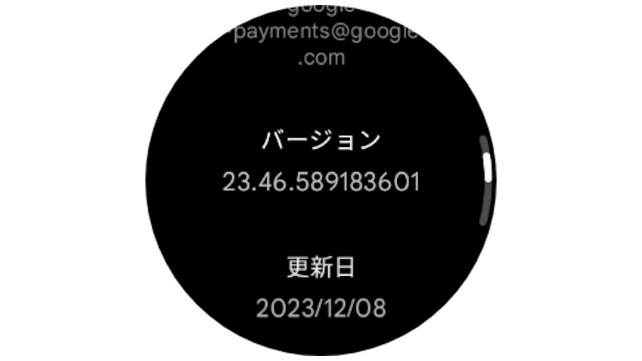 Wear OS Google Wallet